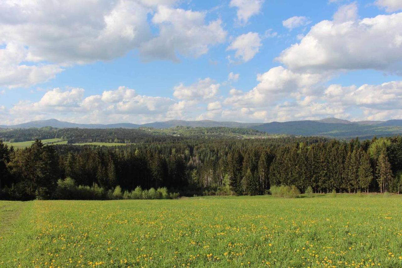 Landhotel Kleblmuehle Grafenau  Exteriér fotografie